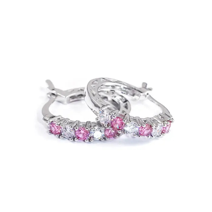 Rycora™ 925 Sterling Silver Earrings – Elegant Gift for Her